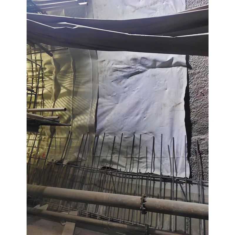 HDPE Geomembrane