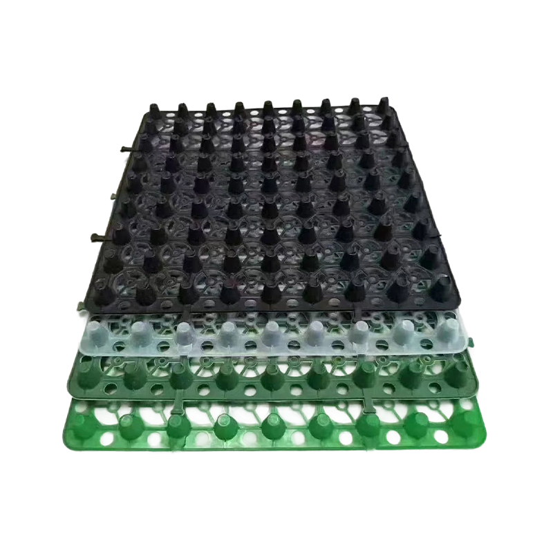 How does the drainage board's design facilitate both water drainage and retention for plant irrigation in green roof systems?